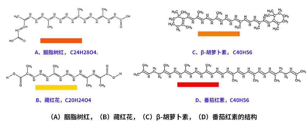 藏紅花、胭脂樹紅、β-胡蘿卜素、番茄紅素的化學結構